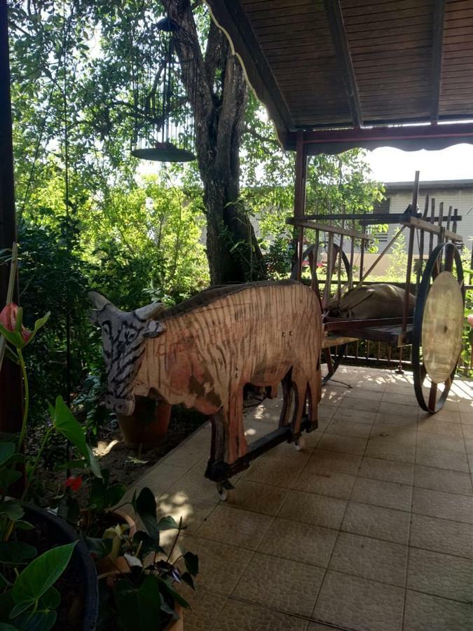 Ti Kaz En Bois Villa Sainte-Rose Eksteriør bilde